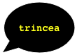 TRINCEA